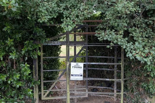 The RSPCA is investigating after dead kittens were found on trees at Dore and Totley Golf Club's golf course, in Sheffield. Photo: RSPCA