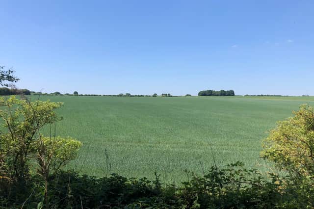 The council has set aside £2.2m to prepare the Local Plan, although officers warn costs could rise.