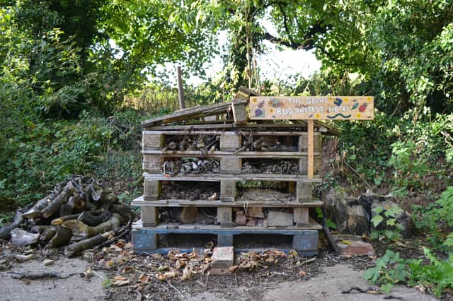 Conditions attached to Sheffield City Council's planning permission say the dog walking park must include a bug hotel
