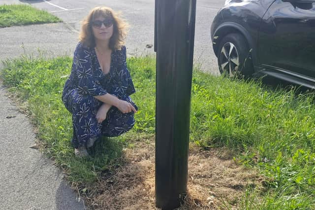 Councillor Marianne Elliot has raised concerns that excessive use of the weedkiller glyphosate is leaving patches of dead grass on city verges