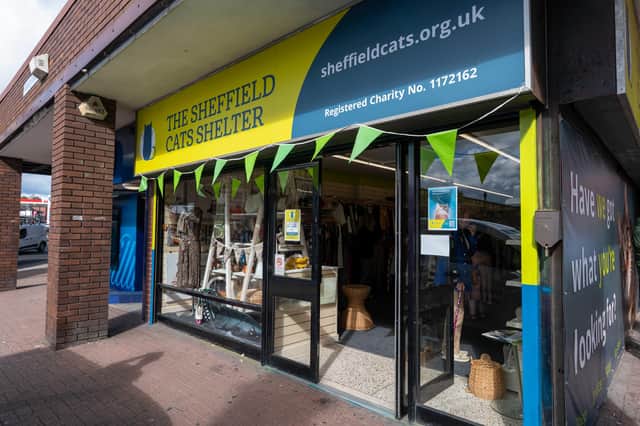 Sheffield Cat Shelter