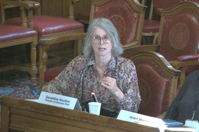 Geraldine Houlton, a volunteer with Friends of Ellesmere Park in Burngreave said a recent form was "like a dissertation"