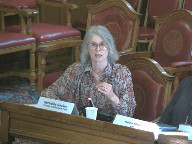 Geraldine Houlton, a volunteer with Friends of Ellesmere Park in Burngreave said a recent form was "like a dissertation"