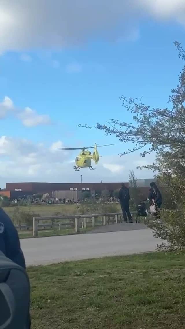 An air ambulance was deployed to the wildlife park