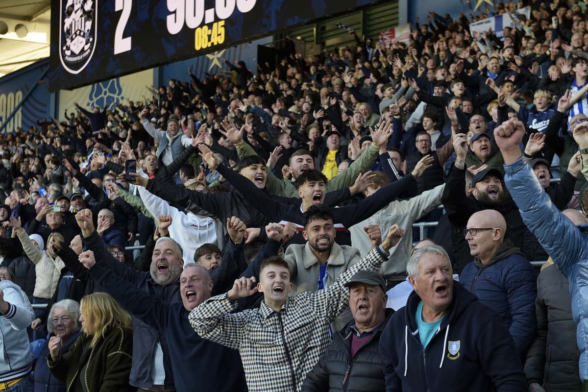 Fans von Sheffield Wednesday feiern dramatisches Comeback gegen ...