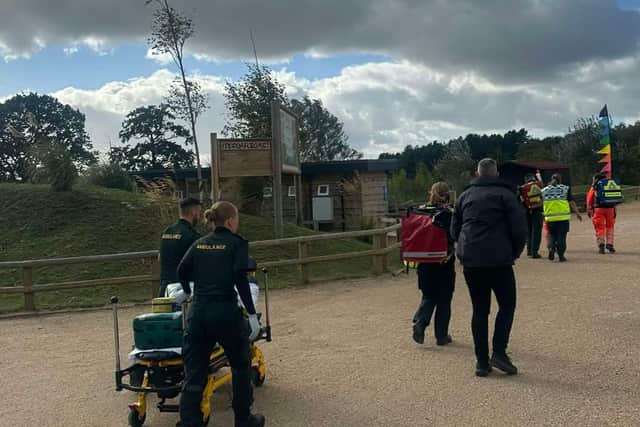 Paramedics rush to the scene after the tiger attack at Yorkshire Wildlife Park.