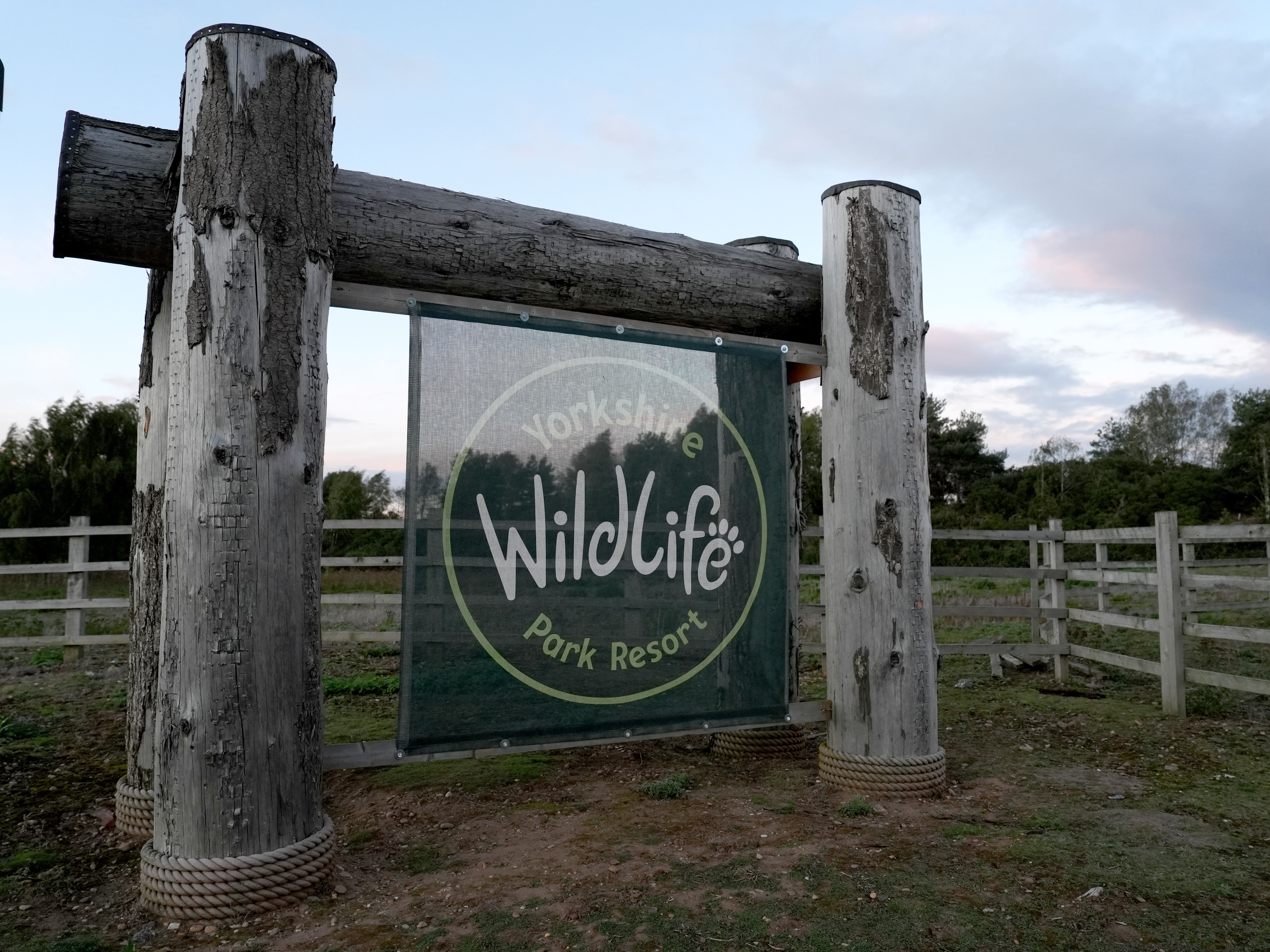 Man mauled to death by tiger at Yorkshire Wildlife Park was alone, police reveal