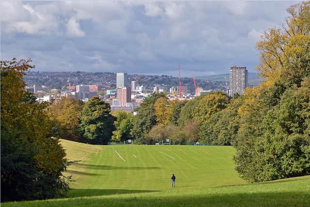 Sheffield’s natural environment is part of the bid. Picture shows Norfolk Park, Sheffield. Photo: Bryan Eyre, Iconic Media