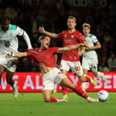 Bristol City hope Lorent Tolaj will be available this weekend.