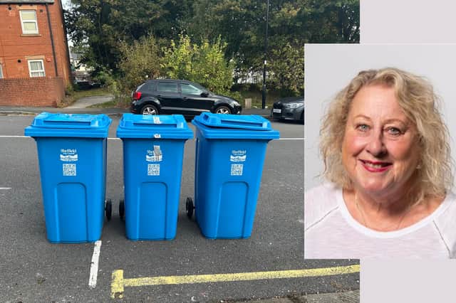 Councillor Laura Moynahan said she regularly see piles of folded cardboard next to blue bins waiting for collection