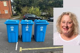 Councillor Laura Moynahan said she regularly see piles of folded cardboard next to blue bins waiting for collection
