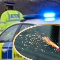 Police condemn reckless Sheffield firework attack which could have caused 