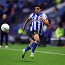 Reece James has been solid since returning to Sheffield Wednesday.