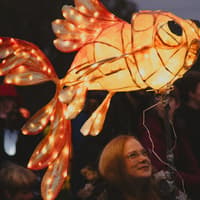 19 photos at Parkwood Springs lantern festival in Sheffield celebrating wonder of nature