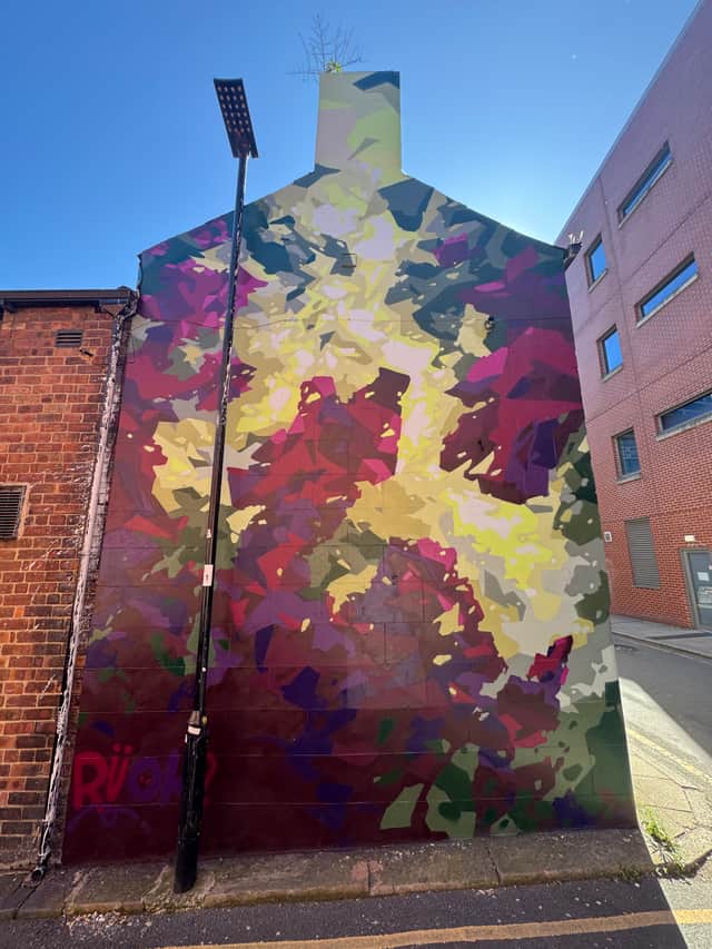 Artist RUOK's mural on the Red Lion pub showcases the creativity that runs through Sheffield, turning an everyday city centre building into a canvas for public art.