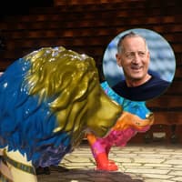 14 photos from charity lion auction in Sheffield where Owls owner David Storch spent £26,000