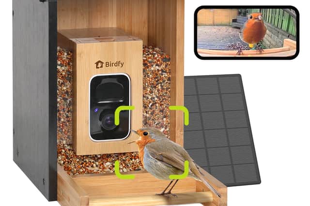  Birdfy Feeder Bamboo Mini with camera