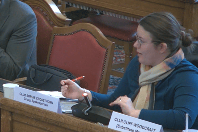 Councillor Crossthorn said she was concerned AI could be being used as a “scapegoat" to "explain away" complaints