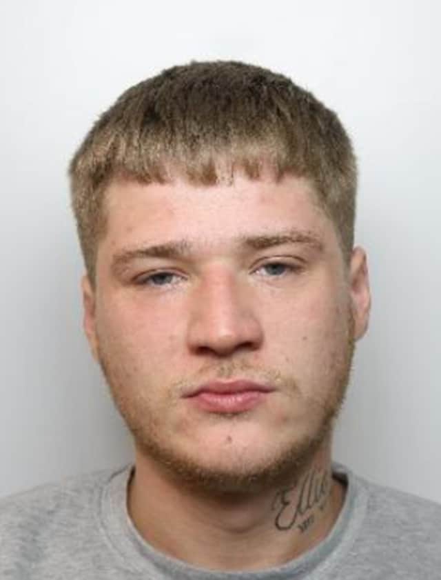 Harry Bradley was jailed for 12 months 