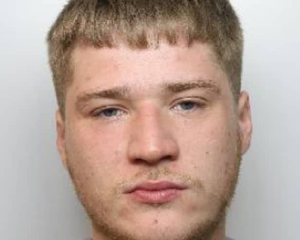 Harry Bradley was jailed for 12 months