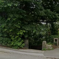 Thousands back campaign to bring back right of way into popular Sheffield woods