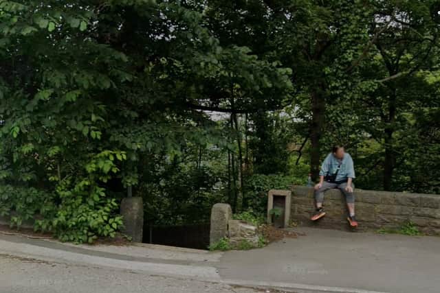 The path into Beeley Wood from Middlewood Road North, Sheffield. Photo: Google