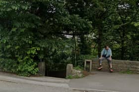 The path into Beeley Wood from Middlewood Road North, Sheffield. Photo: Google