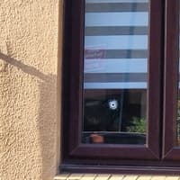 Pictures and video show bullet hole in Sheffield home's window after gun shots fired while woman was inside