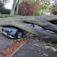 Tree crushes car on Sheffield road and power outages reported as Storm Boelo leaves its mark on city