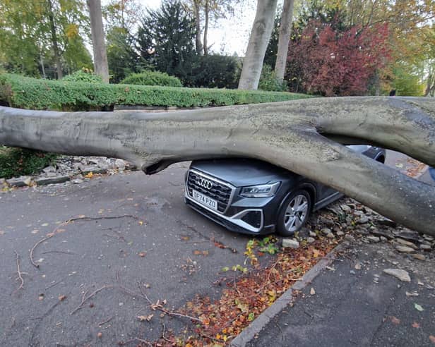 A car is under a tree after Storm Boelo left its mark