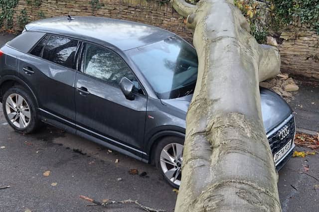 The car underneath the tree on Union Road