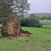 Shocking pictures show uprooted trees blocking paths at popular Sheffield park after Storm Boelo