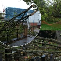 Pictures show trail of destruction left behind by Storm Boelo after hitting Rotherham