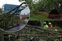 Storm Boelo has left a trail of destruction behind in Rotherham