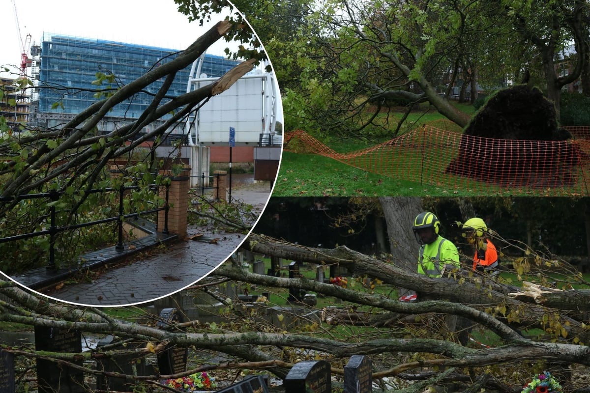 Storm Boelo leaves trail of destruction across Rotherham