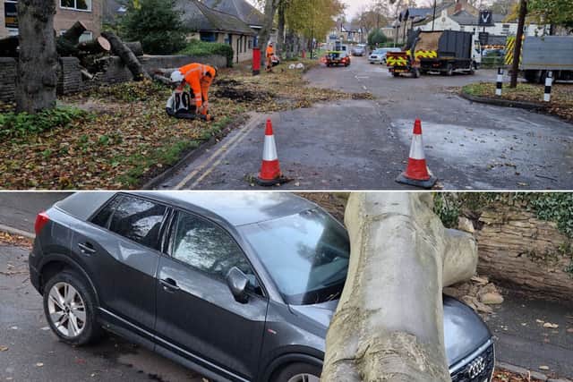 High wind speeds are expected for another few days before weather calms down in Sheffield after Storm Boelo
