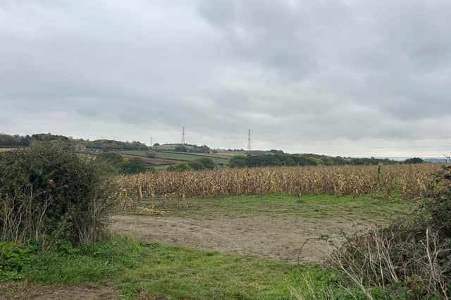 The fields are separated by a hedge, but there is a large gap at the top of the valley making access between them easy