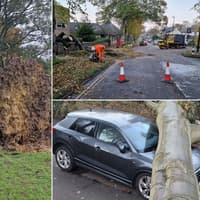 Sheffield City Council called to 65 urgent incidents during weekend of storms as trees uprooted in high winds