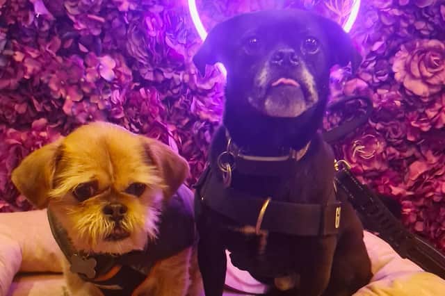 Finn and Gizmo