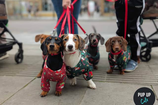 Christmas sausages