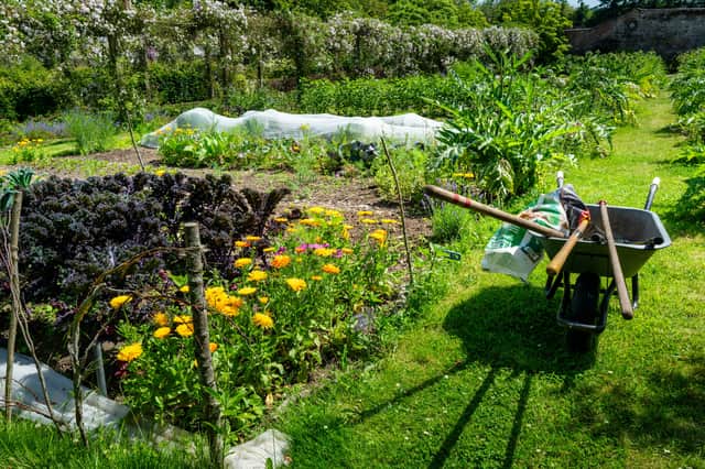The council said encouraging local growing reduces reliance on processed and packaged food, cuts transport emissions, and promotes environmentally responsible consumption