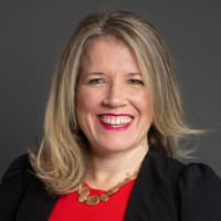 MP calls for pause of controversial Sheffield greenbelt housing plan as 
