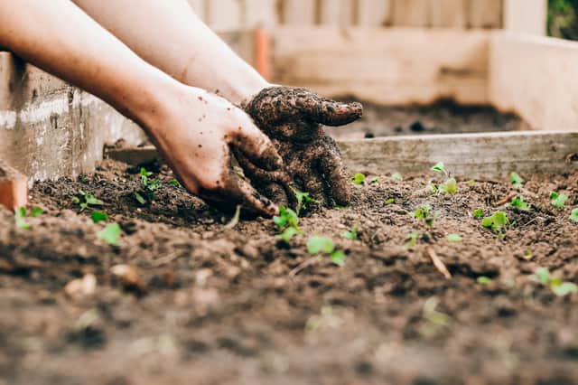 The council said allotment rent income falling below inflation has had a direct impact on both the quantity and quality of grounds maintenance carried out across the city