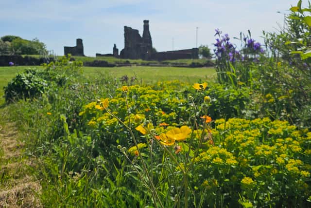 Tudor Ruins at Manor Lodge