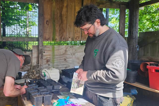 Volunteer Dave and Ranger Joe potting plants