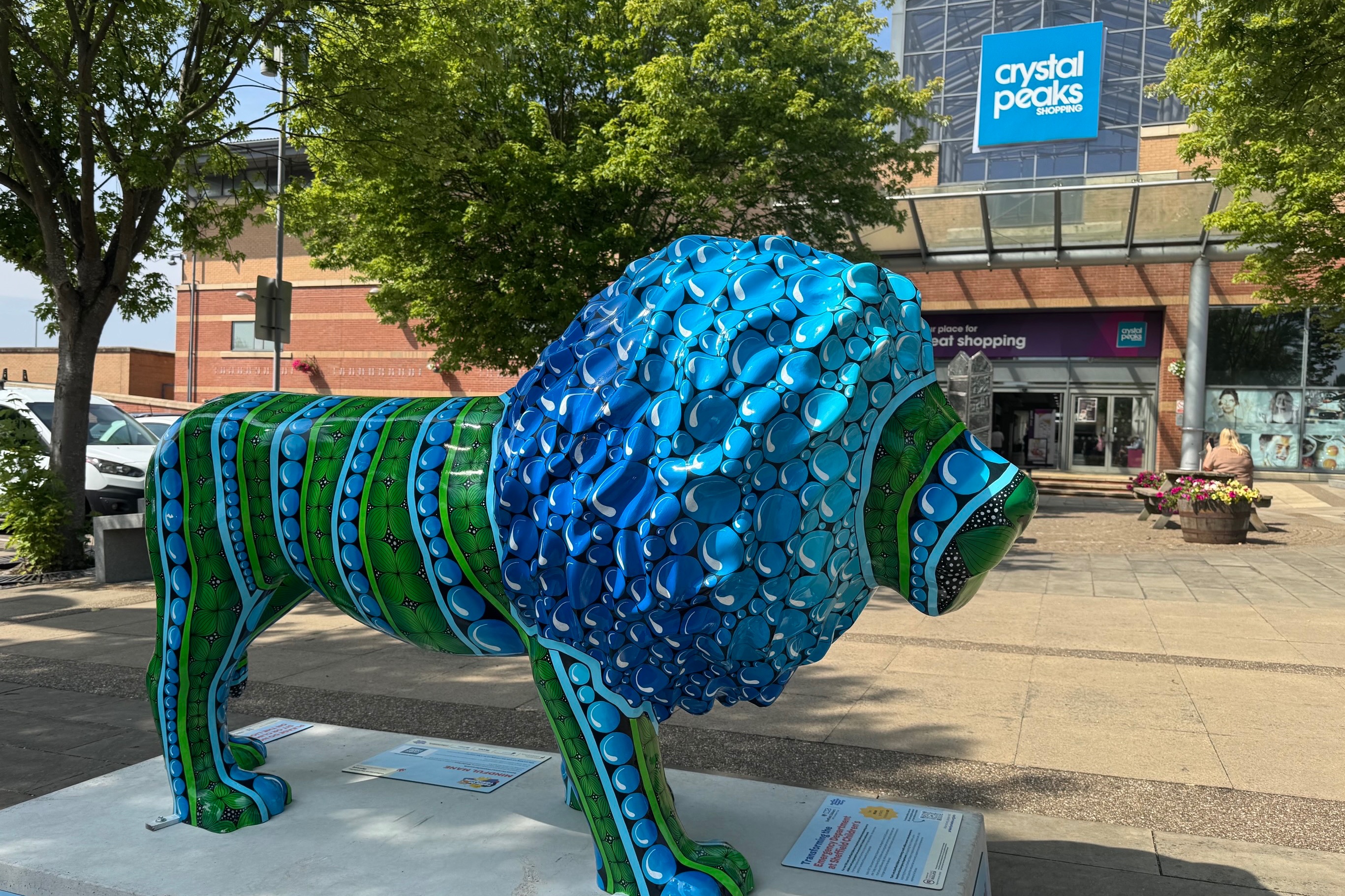 Take a walk on the wild side with Crystal Peaks Pride of Yorkshire fun