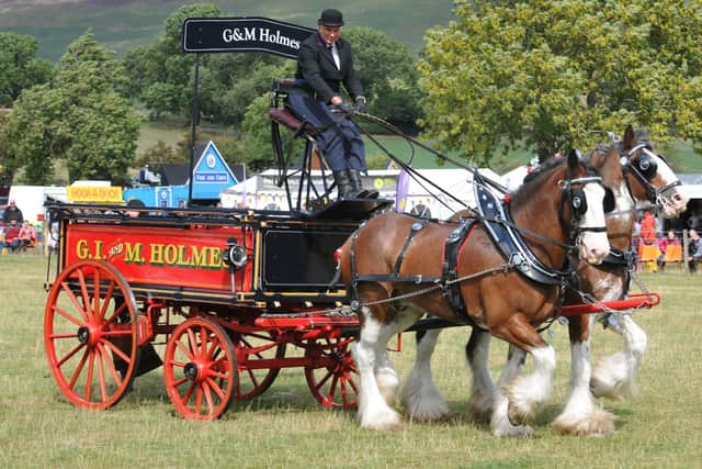 The heavy horses are always a favourite at Hope Show