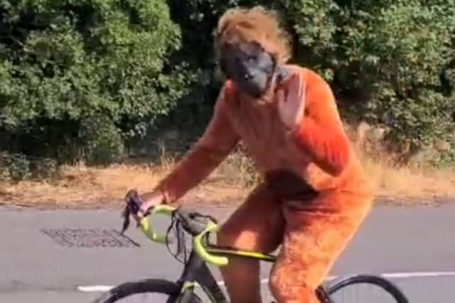 Orangutan suit