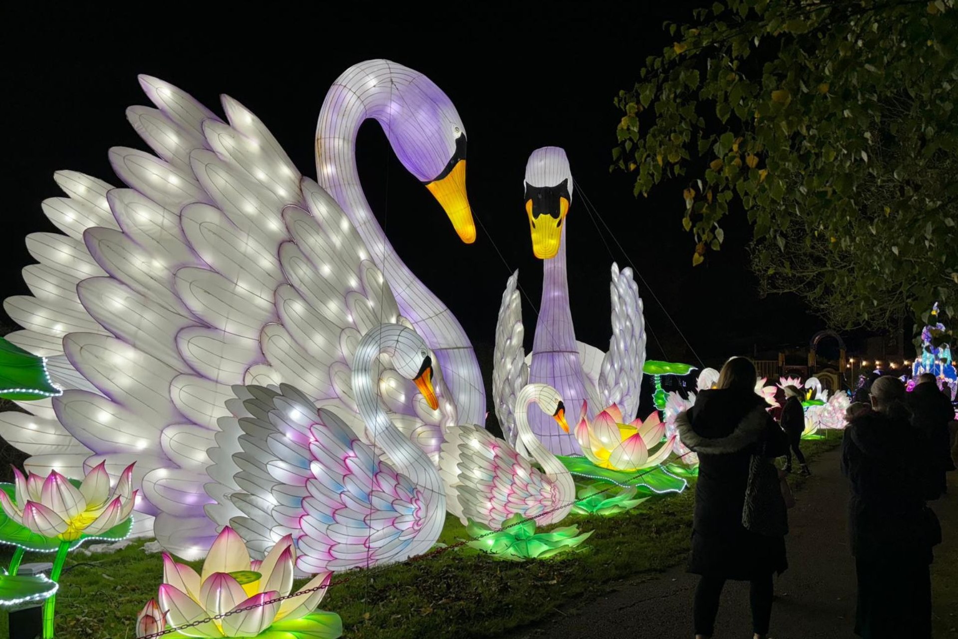 Tourism continues to boost Rotherham's economy by half a billion pounds a year