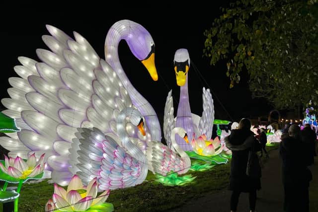 Families enjoying the Land of Lights at Gulliver’s Valley in Rotherham.